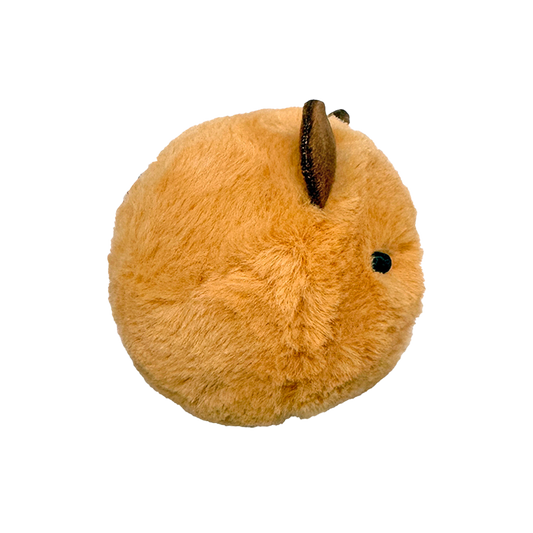 Barry - US 0329